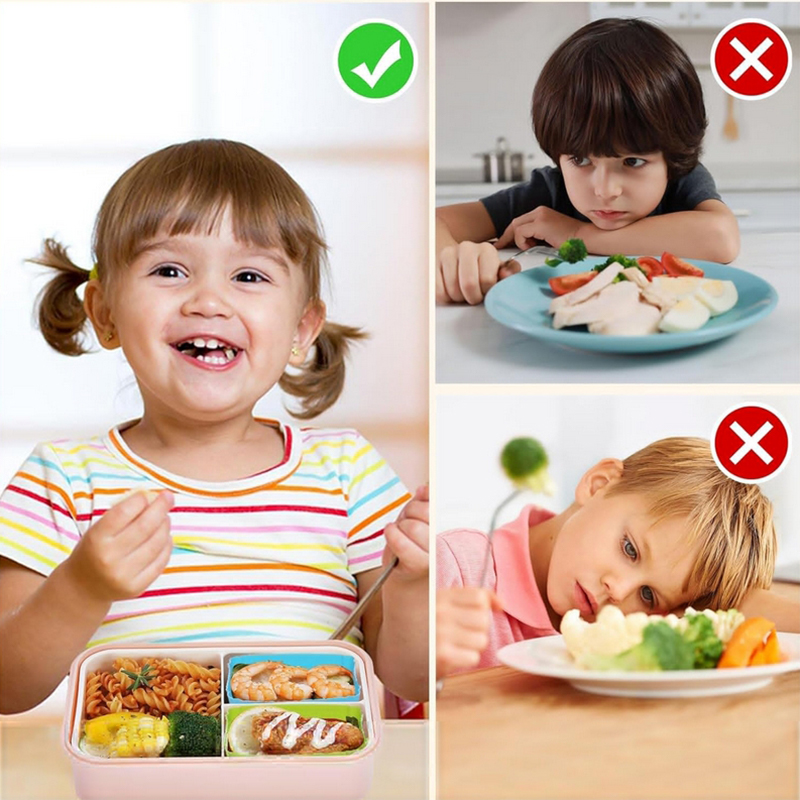 어린이를위한 8PCS 실리콘 도시락 분배기 어린이 학교 - Silicone Baking Mat 리뷰 및 가격