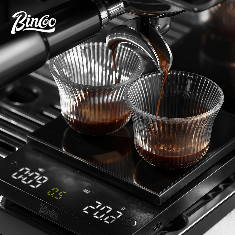 BINCOO 디지털 커피 저울 0.1g 정밀도 타이머  - Kitchen Timer Digital 리뷰 및 가격